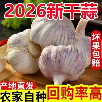 【十足新干蒜】山东紫皮大蒜金乡大蒜头原生态家用正宗紫皮便宜