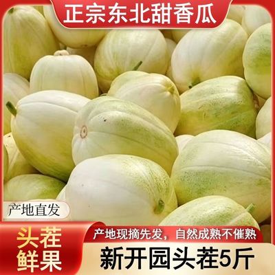 东北香瓜吉林大地现摘现发原产地香瓜立秋香瓜顺丰包邮