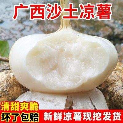 广西正宗凉薯新鲜现挖地瓜脆甜挖沙蔬菜农家沙地萝卜应季多汁水果优惠商品图片