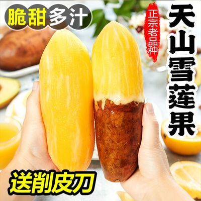 正宗云南天山雪莲果爆甜新鲜水果时令当季孕妇水果清甜整箱批发价