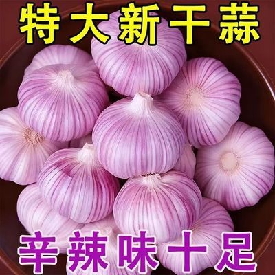 【精品】干蒜紫白皮大蒜头特大果批发新鲜红皮大头蒜新干蒜优惠商品图片