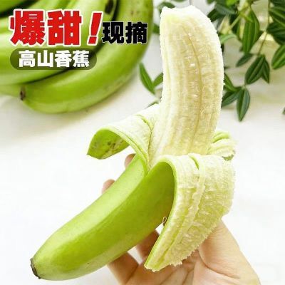 广西高山香蕉甜糯薄皮香蕉大果绿皮香蕉应季水果肉厚青皮香蕉软糯