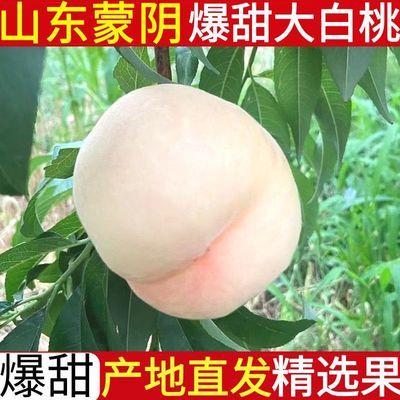 山东蒙阴网红大白桃黄桃双拼黄水果新鲜爆甜应季白如玉白大毛桃水优惠商品图片