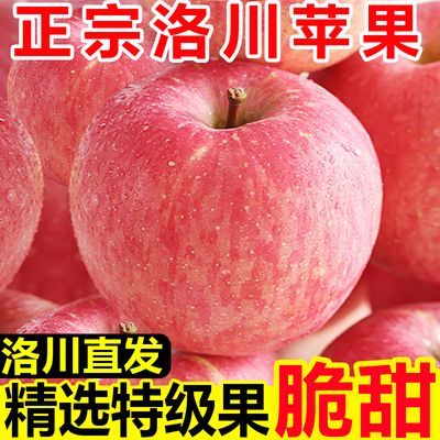 【洛川直发】正宗陕西洛川苹果红富士脆甜一整箱新鲜苹果水果批发