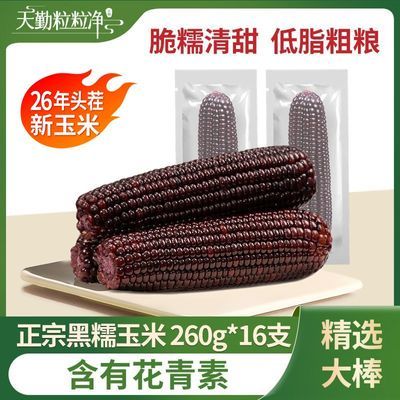 【260g黑糯大棒】天勤粒粒净甜糯玉米非转基因花青素新季糯玉米