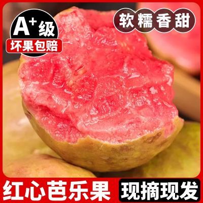 正宗玉林广西红心芭乐软心软糯奶油番石榴脆甜正品孕妇水果直发