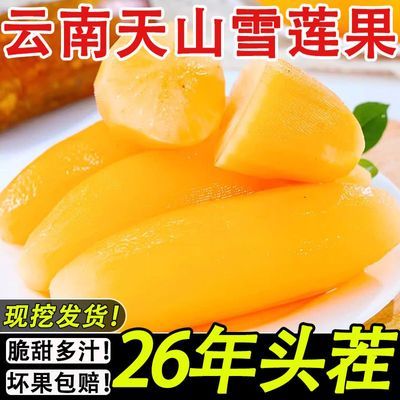 【清甜多汁】云南天山雪莲果黄心大果当季头茬果新鲜水果孕妇整箱