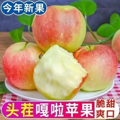 【不打蜡】山东正宗嘎啦小苹果脆甜当季头茬现摘新鲜水果整箱批发