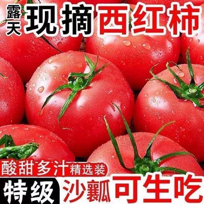 甘肃现摘生吃西红柿新鲜沙瓤番茄当季自然蔬菜水果柿子整箱批发优惠商品图片