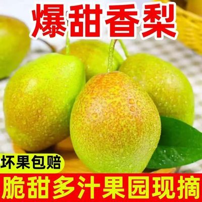 【彩箱】现摘红香香酥酥梨正宗香梨水果薄皮当季梨子整箱批发应季