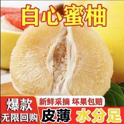 【水晶白心柚】26年现摘白心蜜柚爆甜多汁柚子白玉蜜柚应季水果【7天内发货】优惠商品图片