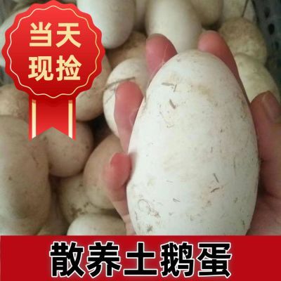 【破蛋包赔】新鲜散养农家初生双黄土鹅蛋批发价一整箱孕妇精选优惠商品图片