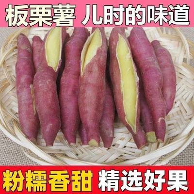 农家陕西正宗板栗红薯黄河干面蜜薯沙地秦薯黄心地瓜番薯香甜批发
