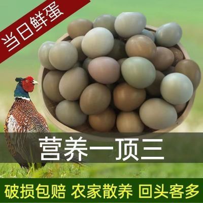 正宗七彩山鸡蛋营养孕妇辅食宝宝土鸡蛋正品散养新鲜
