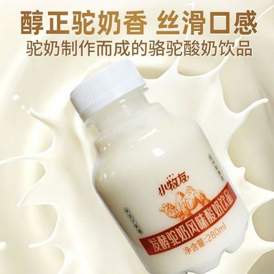 280mlx6爆款小牧友新疆骆驼老酸奶饮品特浓老酸奶原味老牌子