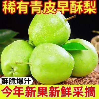 带箱5斤正宗青皮梨子皇冠青皮梨青脆爽口应季新鲜水果现摘彩箱优惠商品图片