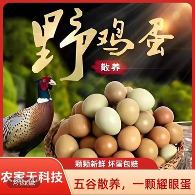 散养正宗七山彩鸡蛋营养孕妇正品辅食宝宝农家散养新鲜 绿壳