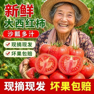 当季甘肃露天沙瓤西红柿时令孕妇水果番茄新鲜生吃蔬菜便宜一整箱优惠商品图片