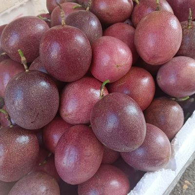 云南台农一号批发皱皮红皮大果百香果紫皮百香果新鲜大果奶茶店等优惠商品图片