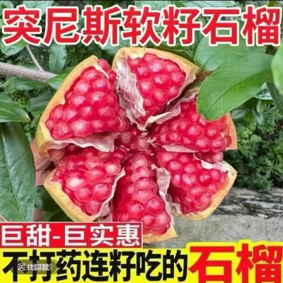 当季正宗宾川大理突尼斯软籽石榴应季水果新鲜整箱无籽整箱孕妇优惠商品图片