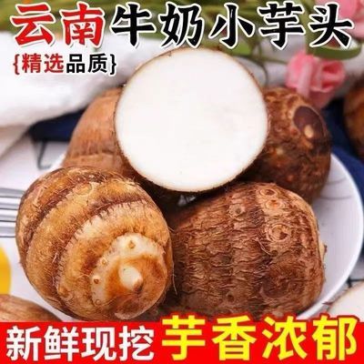 【精品装】正宗云南牛奶芋艿芋头小毛香芋新鲜现挖蔬菜当季批发优惠商品图片