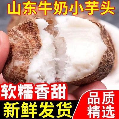 【安丘毛芋头】新鲜现挖毛芋软糯香芋奶芋农家芋艿芋仔整箱