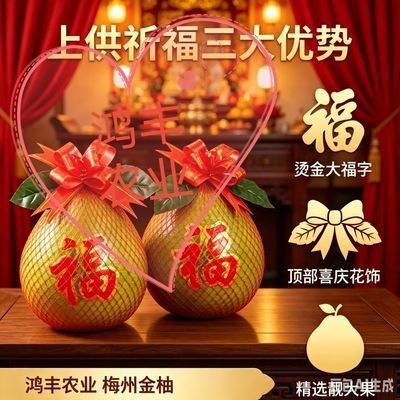 财神拜神柚子发财拜神新居专用青皮祈福上供摆件开运纳财非食用优惠商品图片