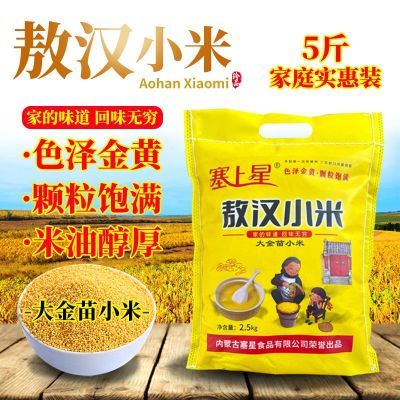 塞上星敖汉黄小米5斤农家新米新鲜拧口壶嘴装油小米熬粥金苗敖汉