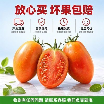 【5斤】小西红柿小番茄糖葫芦新鲜圣女果硬皮小番茄应季水果包邮优惠商品图片