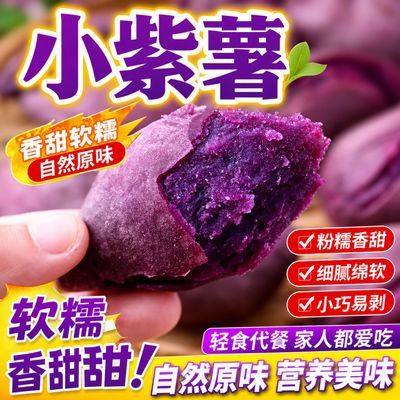 新鲜现挖老品种紫罗兰小宝宝紫薯手指小番薯粗粮代餐辅食花青素