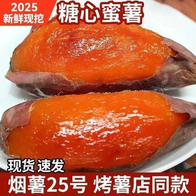 新鲜山东烟薯25流油蜜薯红薯现挖山芋糖心地瓜番薯蔬菜批发优惠商品图片