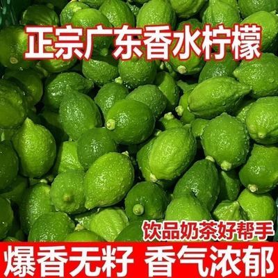正宗无籽手打柠檬茶专用当季柠檬次二级奶茶店广东香水柠檬爆香优惠商品图片