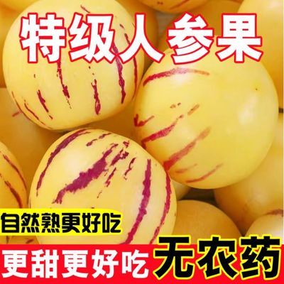 正宗云南人参果花皮黄心大果水果圆果新鲜黄肉应季水果现摘整箱优惠商品图片