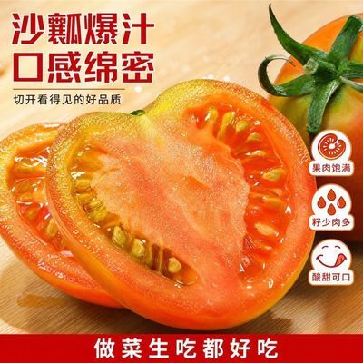 【5斤】小西红柿小番茄糖葫芦新鲜圣女果硬皮小番茄应季水果包邮优惠商品图片