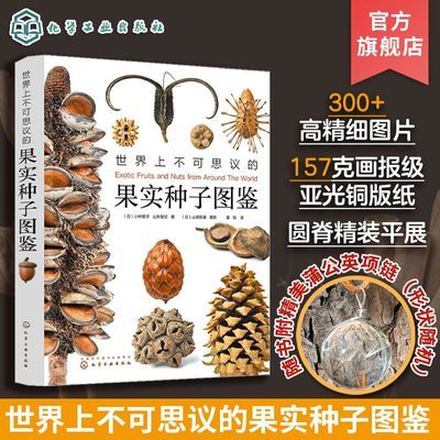 现货 世界上不可思议的果实种子图鉴小林智洋精美蒲公英项链300张优惠商品图片
