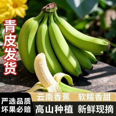 【产地价】云南高山大香蕉青皮新鲜当季水果整箱批发薄皮软糯香甜优惠商品图片