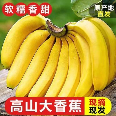 云南发货正宗高山香蕉当季薄皮自然新鲜整箱水果青皮应季现摘批发优惠商品图片