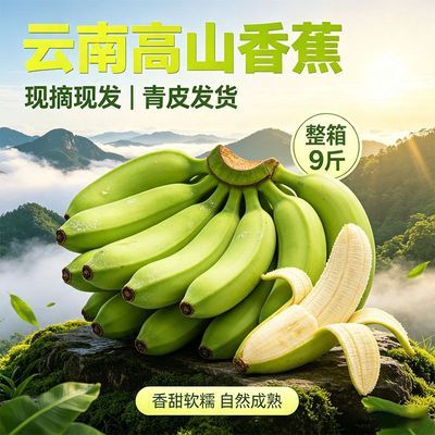 云南高山现摘青皮香蕉香甜软糯自然成熟新鲜直达纯天然一整箱优惠商品图片