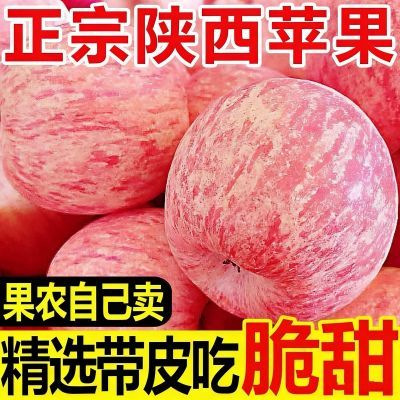 【特级】陕西正宗红富士苹果脆甜新鲜水果孕妇冰糖心苹果批发整箱优惠商品图片