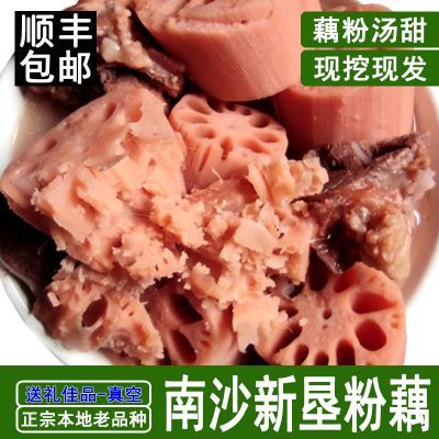 顺丰包邮【当天现挖】正宗新垦粉藕粉糯现挖煲汤食材莲藕新鲜特级优惠商品图片