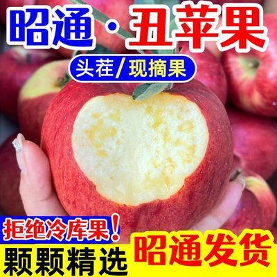 【头茬现摘】正宗昭通苹果新鲜苹果脆甜当季冰糖心丑苹果2026整箱