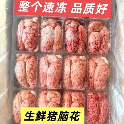 新鲜猪脑批发脑花冷冻猪脑子批发商脑髓左右脑生猪火锅烧烤食材