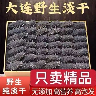 深海底播正宗辽刺参正品干海参干货大连纯淡干原装海参非即食海参