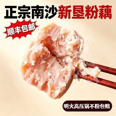 广东粉藕广州特级正宗新垦粉藕现挖煲汤食材莲藕新鲜粉糯一整箱
