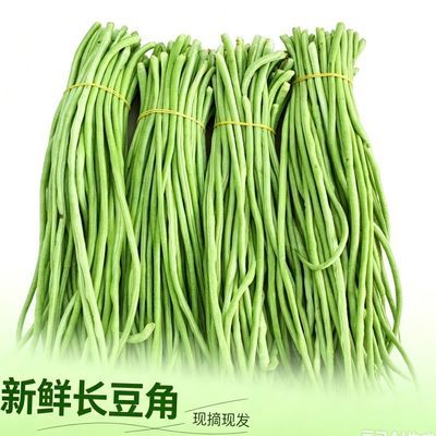 河南本地农家自种新鲜长豆角现摘现发脆嫩爽口新鲜直达豆条饱满优惠商品图片