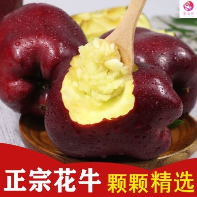 头茬甘肃天水花牛苹果粉面脆甜两吃老年人宝宝辅食刮泥【会员】
