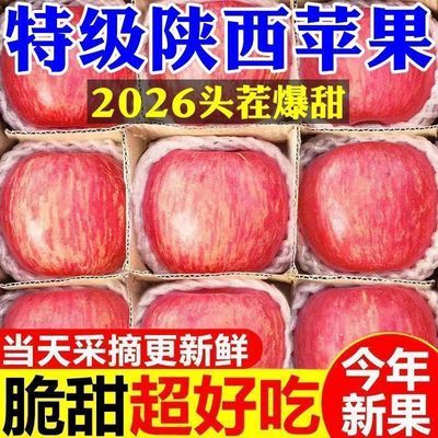 【爆甜】陕西正宗红富士苹果当季现摘脆甜冰糖心新鲜水果整箱批发优惠商品图片