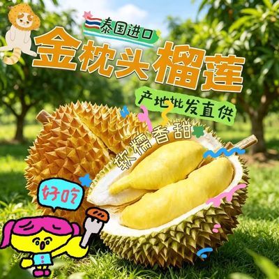 当季新鲜泰国金枕应季榴莲枕头进口整箱整个水果鲜果带壳单果包邮优惠商品图片