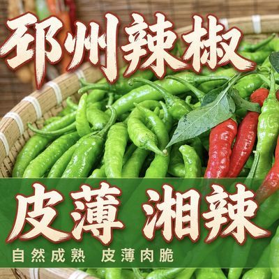 邳州本地辣椒正宗薄皮农家土辣椒湘辣670爆辣现摘青辣椒特辣超辣