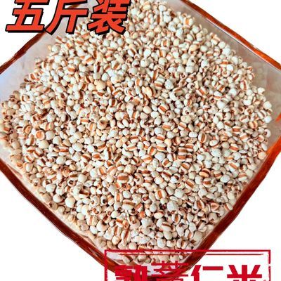 正宗低温烘焙薏米薏仁米煮粥农家赤小豆五谷杂粮薏苡仁熟五斤装
